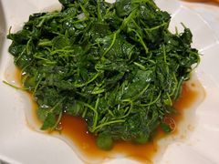 -阿英煲(凉城路店)