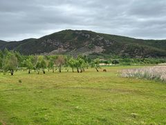 -泸沽湖国家级风景名胜区走婚桥