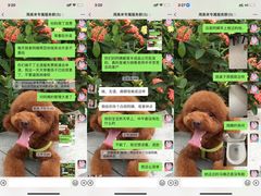 -天鹅到家·保姆月嫂育儿嫂(天河店)