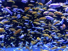 -成都浩海立方海洋公园