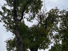 -昆山城市生态森林公园