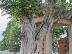 -洛阳桥