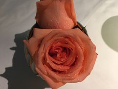 鲜花-牛排家(北京王府井澳门中心店)
