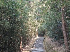 -大屏嶂森林公园