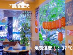 -抚仙湖生态石锅鱼野生菌(告庄店)