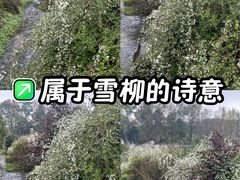 -中国茶叶博物馆(双峰馆区)