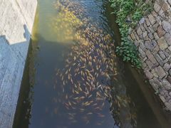 -灵栖洞天
