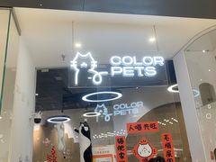 -COLOR PETS 撸猫馆·购猫·猫咖(长风大悦城店)
