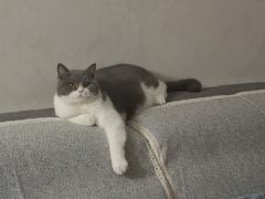 -锦尚阁烤鱼(望京新荟城店)