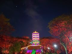 -福神岗公园
