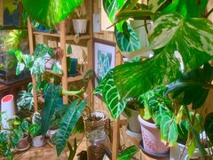 -Rabbit Cafe私房西餐甜点咖啡(栖霞路店)