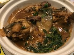 河豚-都喜天丽富都青枫苑酒店-青枫小筑