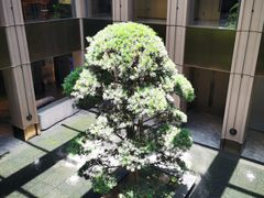 -外滩·云南人家(昆明旗舰店)