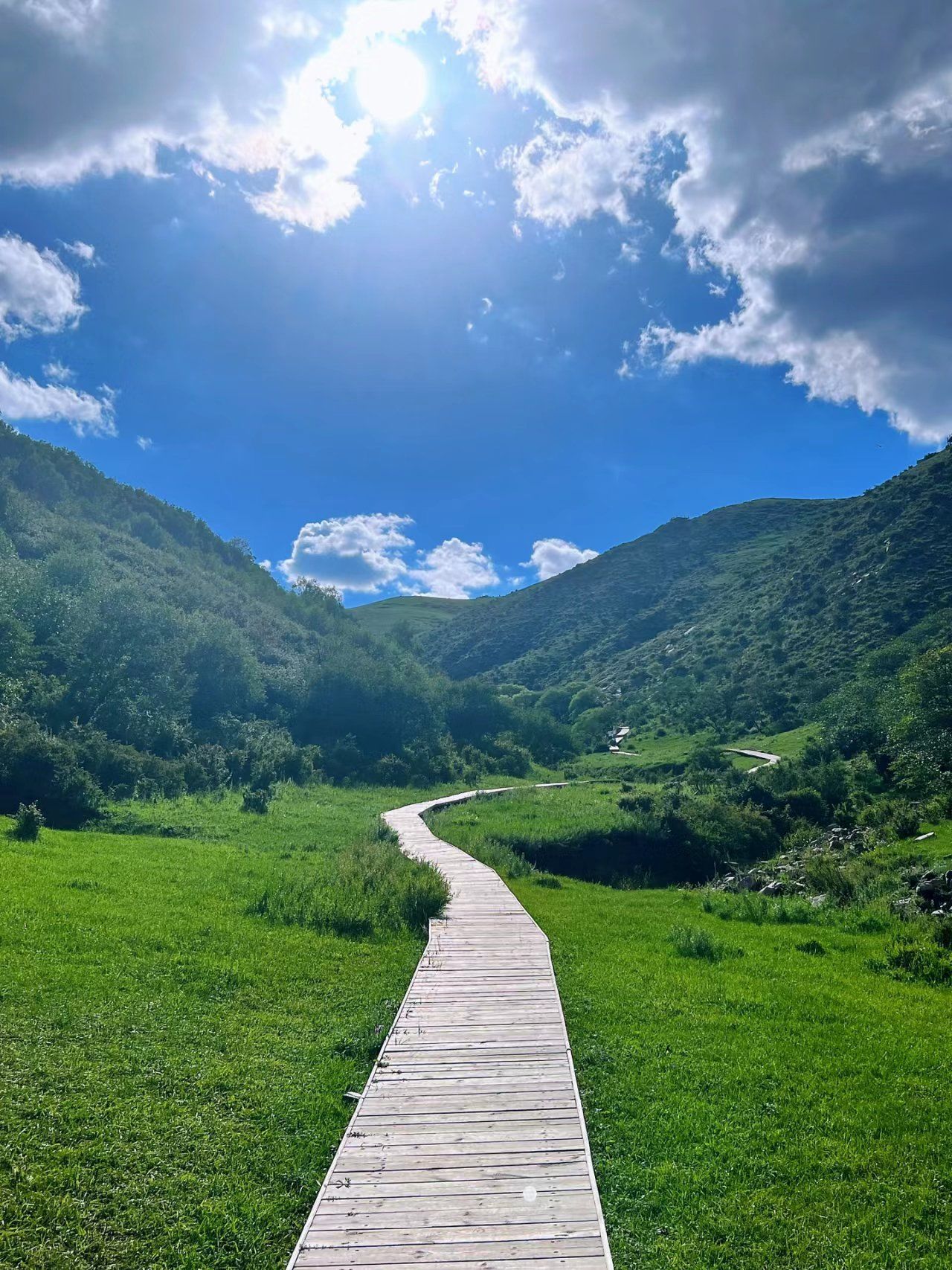 内蒙的旅游真的做的越来越好了