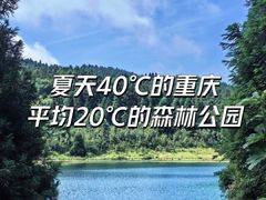 -武陵山森林公园