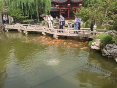 -檀园