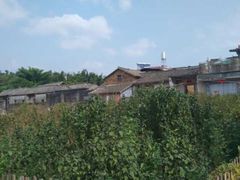 -苏家围·东江画廊旅游景区