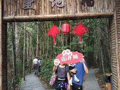 -九龙江国家森林公园