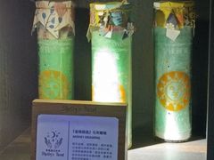 -雪灵魔法世界SHELLY’S TAROT(大良桂畔里店)