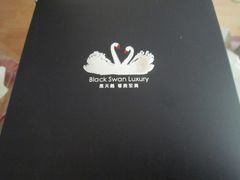 -BLACKSWAN黑天鹅(环球店)