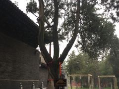 -关林