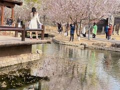 -三里河公园