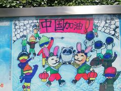 -清华大学附属小学商务中心区实验小学