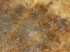 -穆老九清真牛羊肉馆(宋城店)