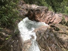 -九龙江国家森林公园