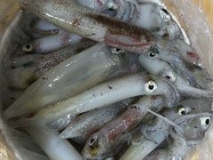 -红月湾海鲜饭店•沙滩海景(双月湾店)