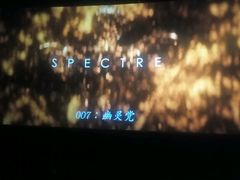 -星辉电影公园(时代广场CC MALL店)