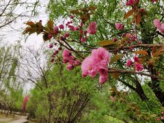 -贵阳市花溪国家城市湿地公园