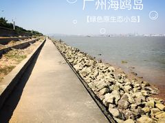 -海鸥岛