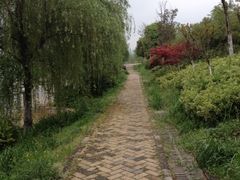 iphone_upload_pic-羊山湖公园