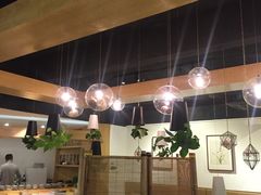 -柴务处·柴犬主题狗咖