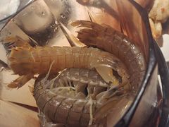 -加餐海鲜自助(宝龙一城店)