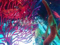 -沈阳海洋探索中心