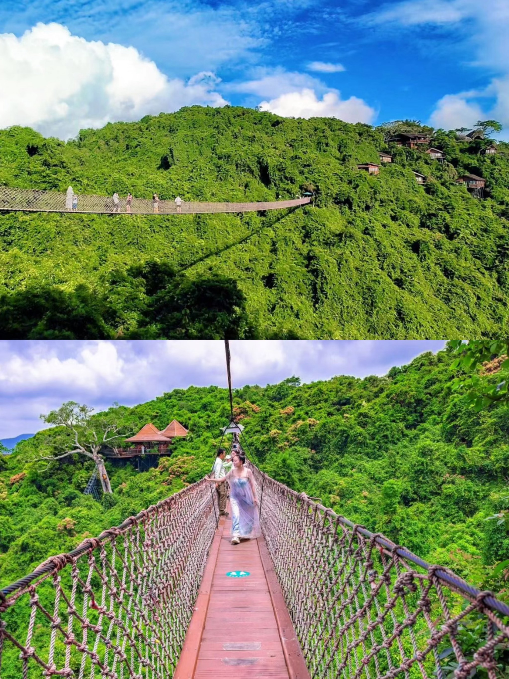 三亚植物园景点介绍图片