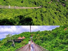 -亚龙湾国际玫瑰谷