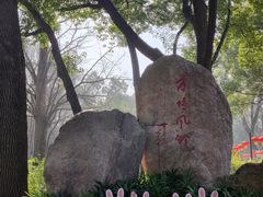 -上海方塔园
