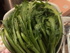 -同仁四季椰子鸡(罗湖国贸店)