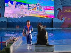 -横店影视城梦幻谷园区