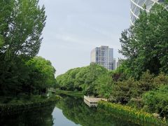 -大望京公园