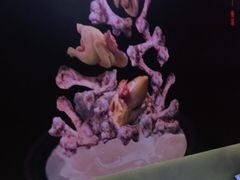 -阿上阿上麻辣香锅&麻辣烫(朝阳蓝色港湾店)