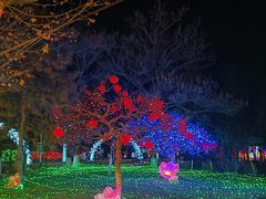 -青龙湖公园