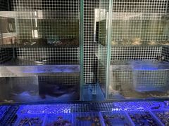 -吕氏焗小鲜•海鲜青岛菜(总店)
