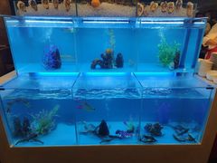 -怡咖啡·自助餐·西安香格里拉