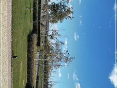 -香厨中餐厅(松北香格里拉店)