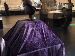 -广西壮族自治区博物馆