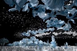 -三色锦婚礼定制